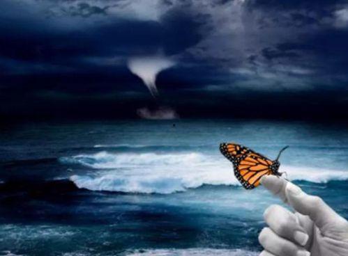 蝴蝶效应1在线观看,命运之翼的微妙转折