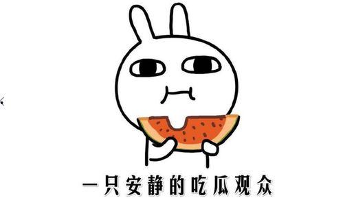 吃瓜啥意思,网络时代的围观文化现象